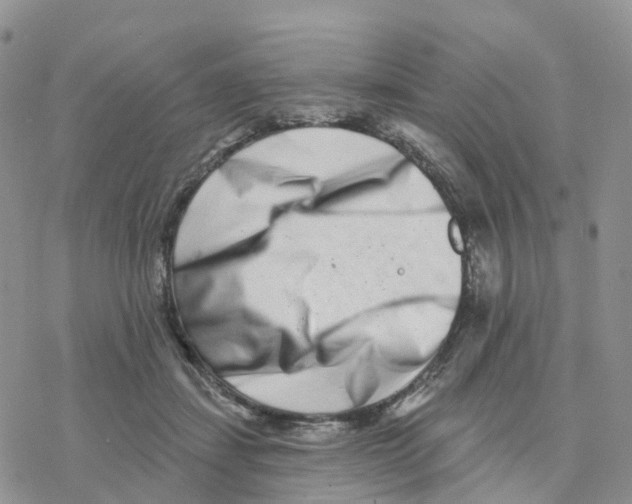 X0000077310459200611171722