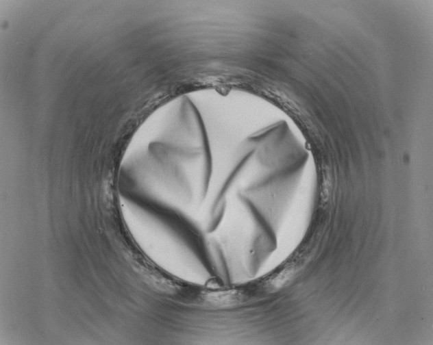 X0000077310461200611171722