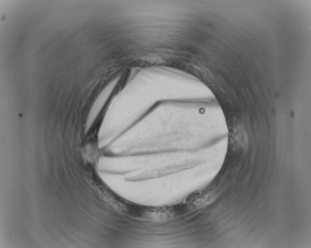 X0000077310466200611171722