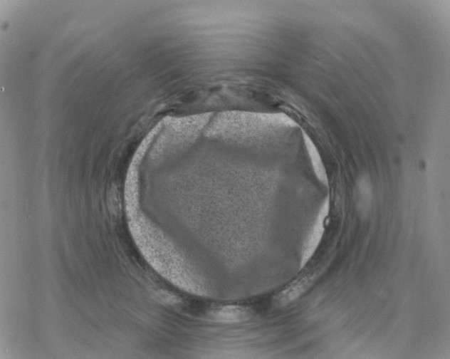 X0000077310467200611171722
