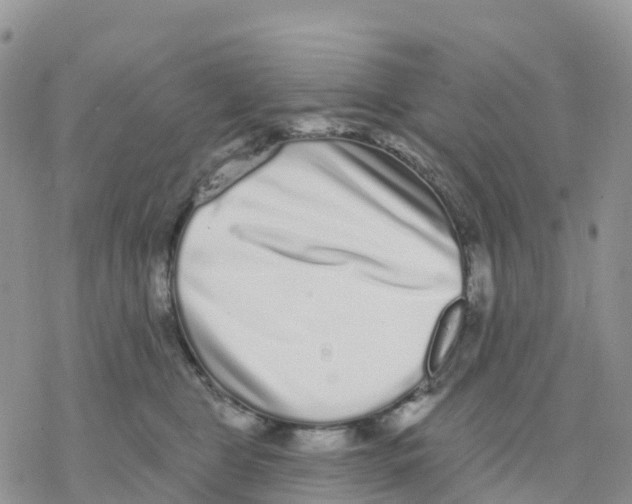 X0000077310469200611171722