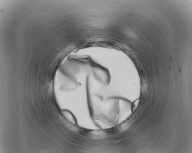 X0000077310477200611171722