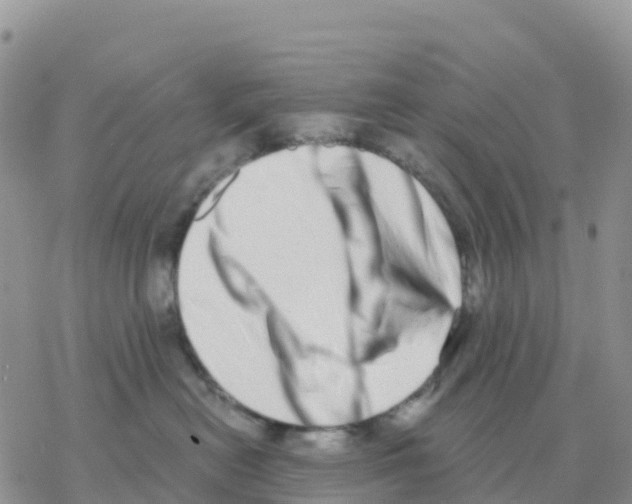 X0000077310478200611171722