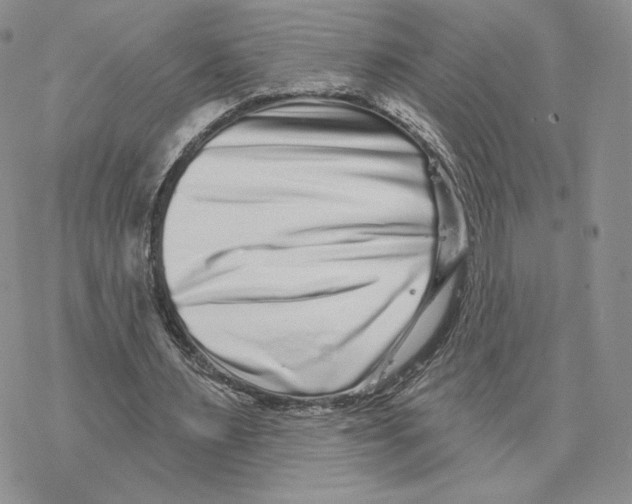 X0000077310483200611171721