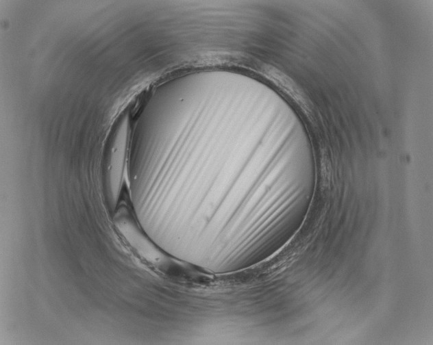 X0000077310485200611171721