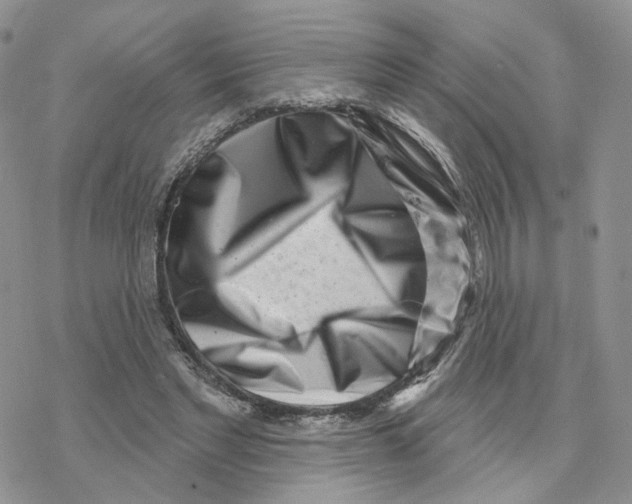 X0000077310493200611171721