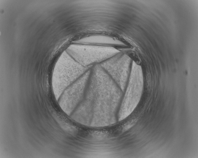 X0000077310494200611171721