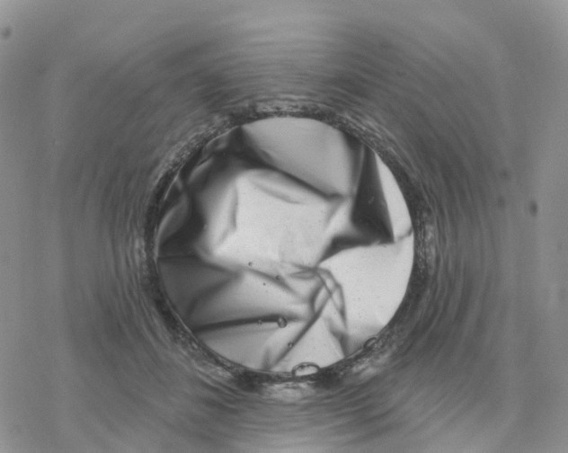 X0000077310508200611171721