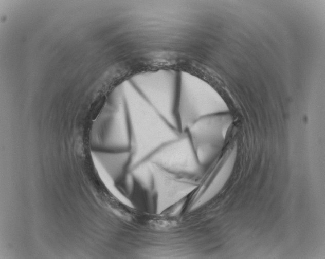 X0000077310512200611171721