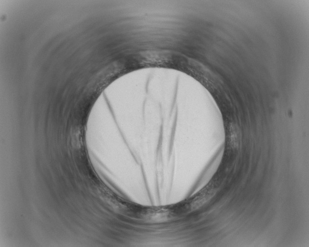X0000077310514200611171721