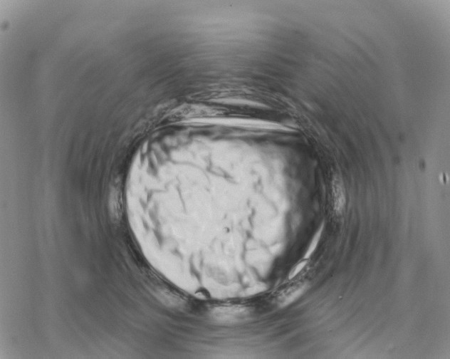 X0000077310515200611171721