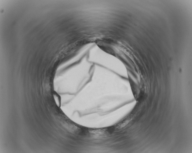 X0000077310516200611171721