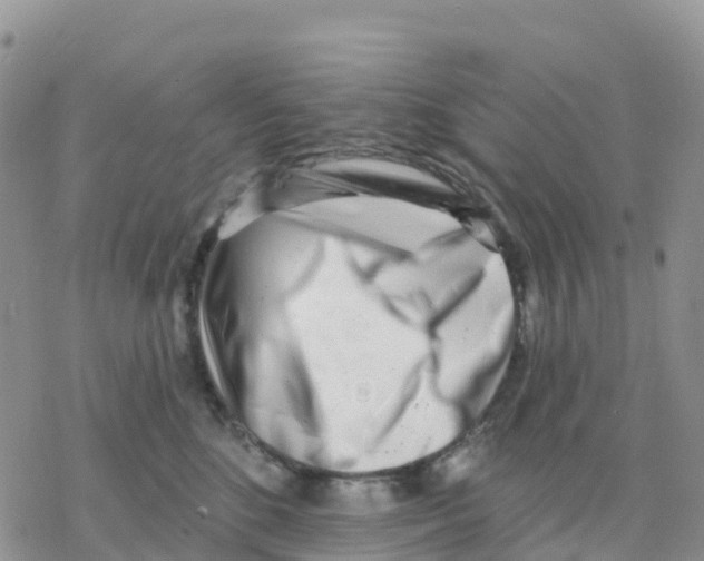 X0000077310520200611171720