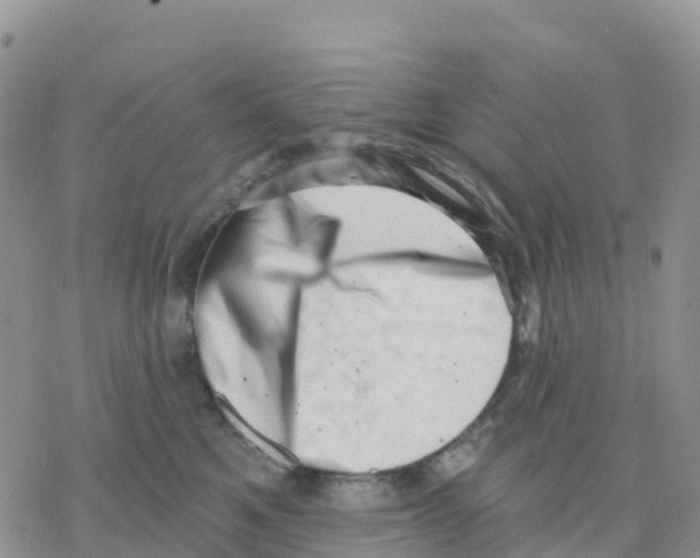 X0000077310521200611171720