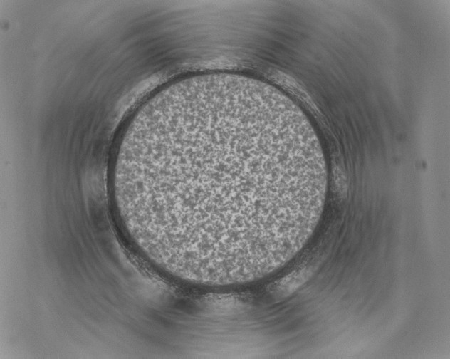 X0000077310534200611171720