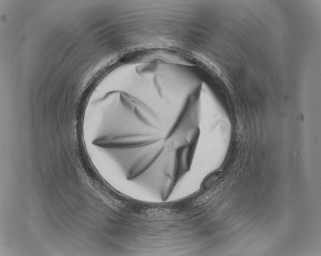 X0000077310535200611171720