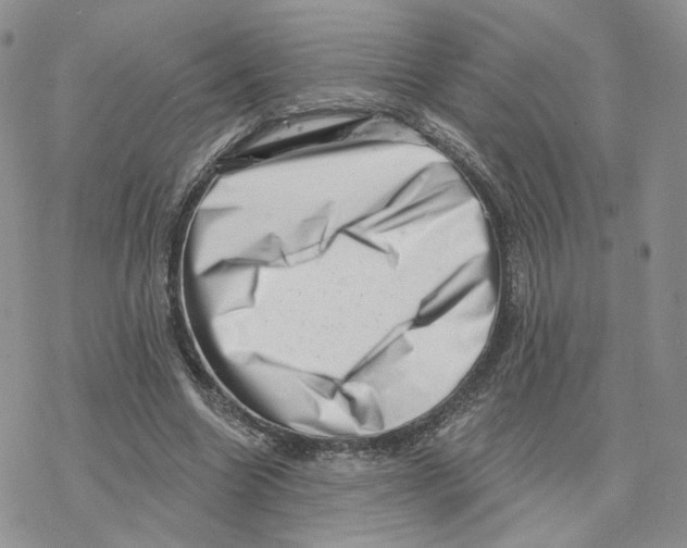 X0000077310538200611171720