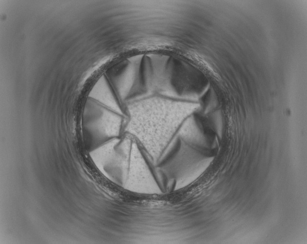 X0000077310539200611171720