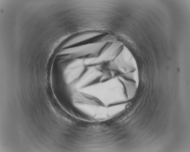 X0000077310540200611171720
