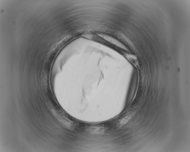 X0000077310542200611171720
