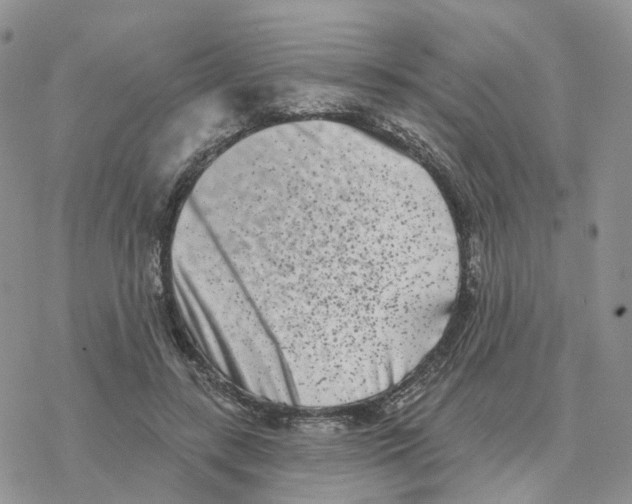 X0000077310547200611171720
