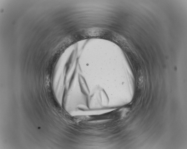 X0000077310555200611171720
