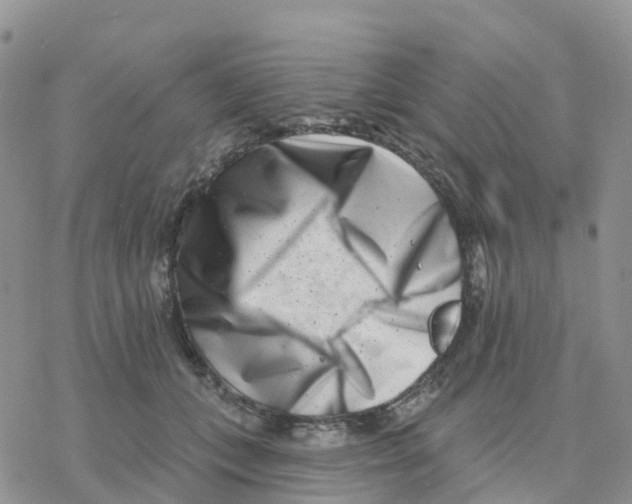 X0000077310559200611171720