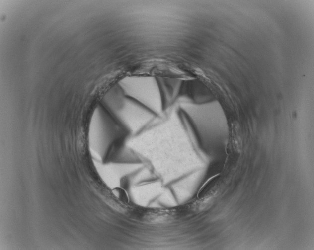 X0000077310563200611171720