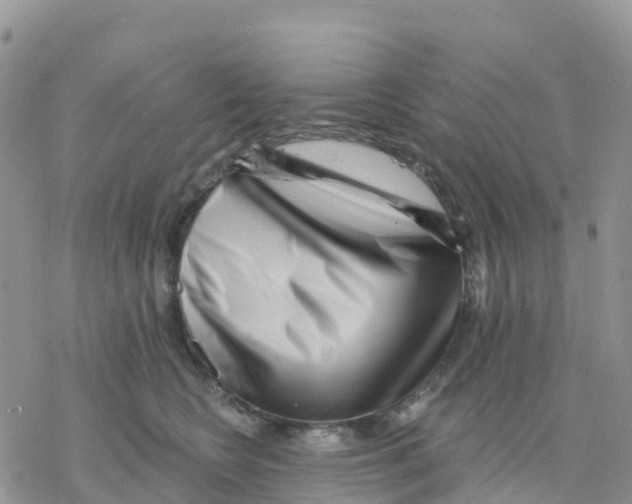 X0000077310566200611171720