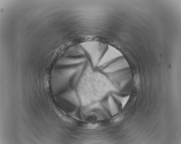 X0000077310570200611171720