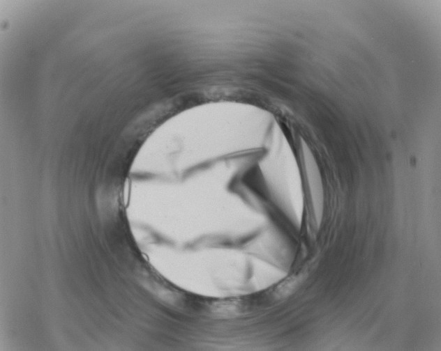 X0000077310574200611171720