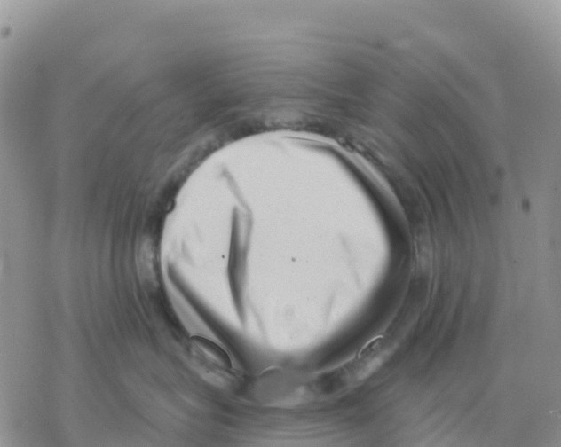 X0000077310575200611171720