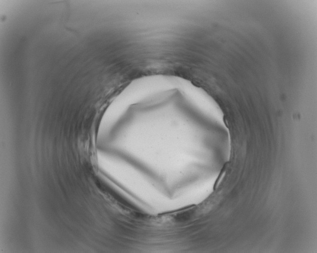 X0000077310576200611171720