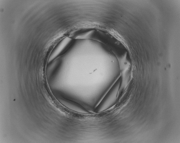 X0000077310581200611171719
