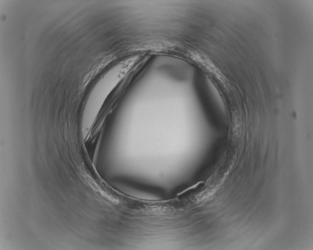 X0000077310585200611171719