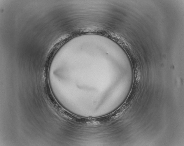 X0000077310591200611171719