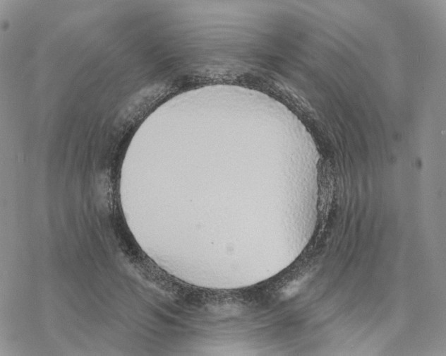 X0000077310594200611171719