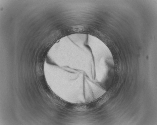 X0000077310606200611171719