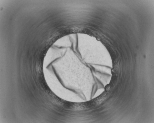 X0000077310608200611171719