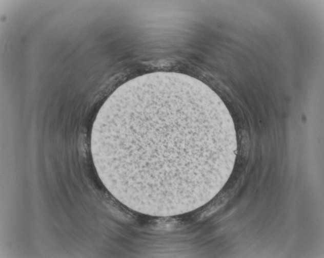 X0000077310612200611171719