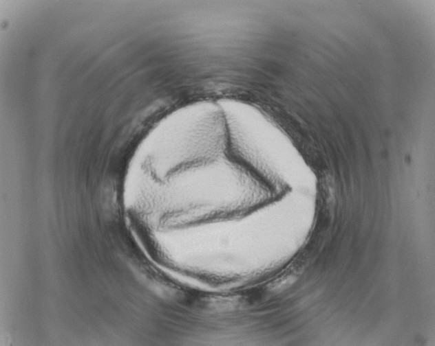 X0000077310615200611171719