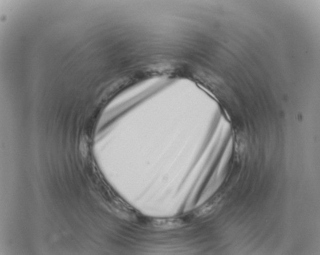 X0000077310623200611171719