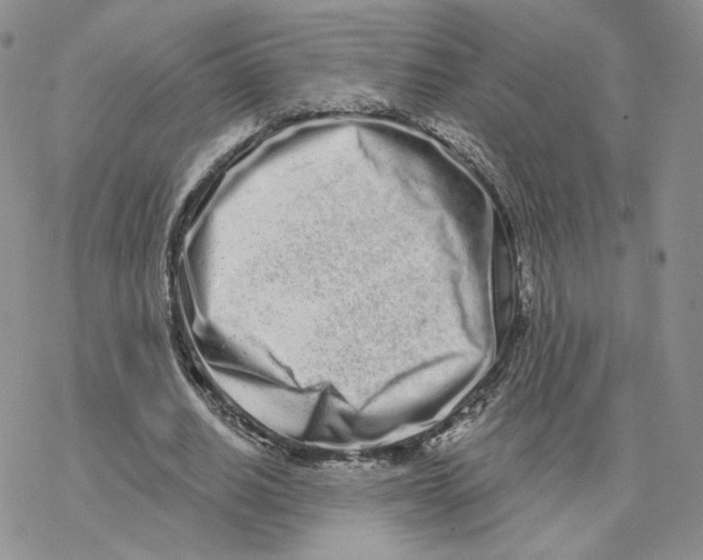 X0000077310630200611171718
