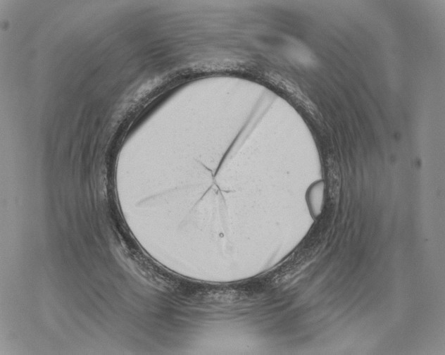 X0000077310631200611171718