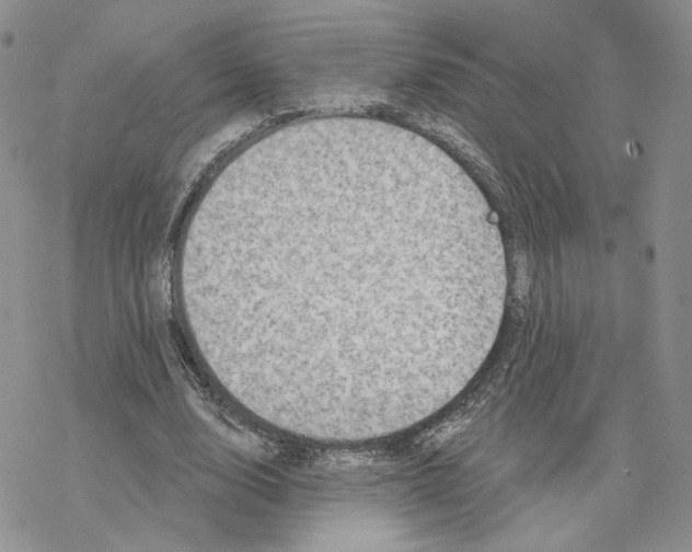 X0000077310632200611171718