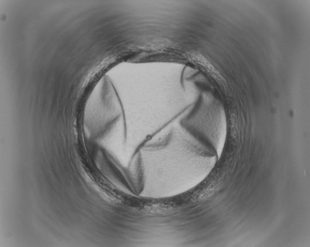 X0000077310634200611171718