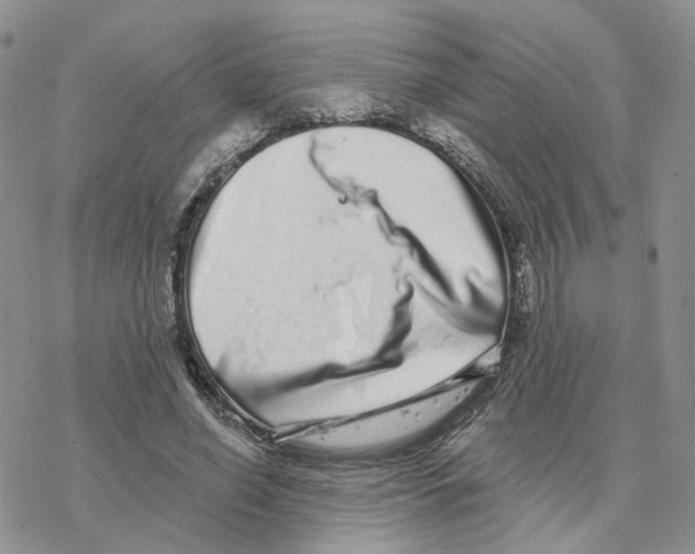 X0000077310638200611171718
