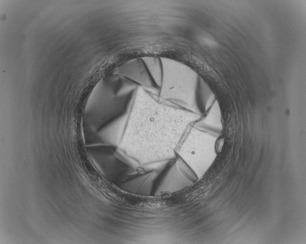 X0000077310639200611171718
