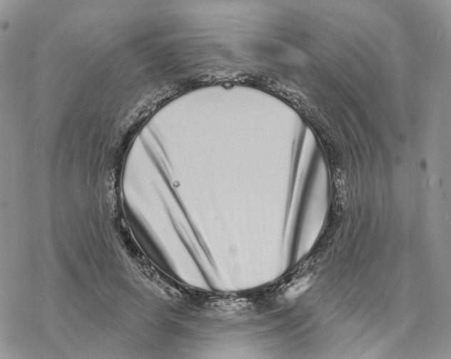 X0000077310642200611171718