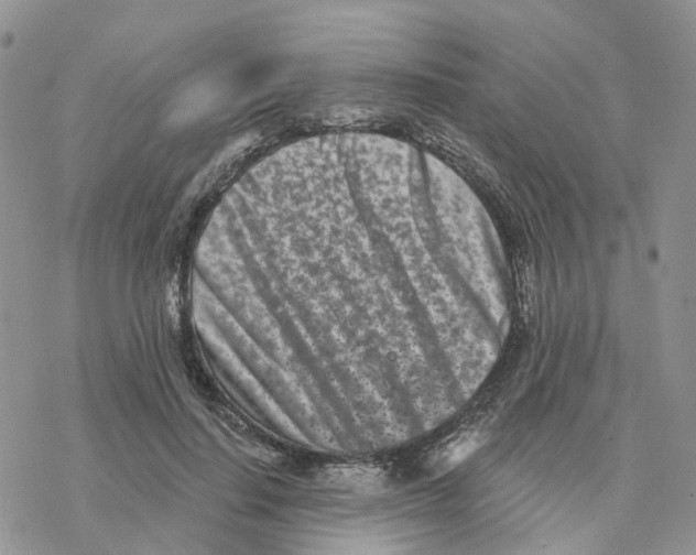 X0000077310644200611171718